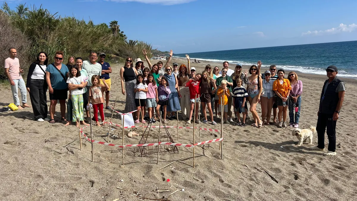 В Газипаше появилось первое гнездо черепахи Caretta-caretta